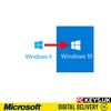 Microsoft Windows Server 20... - Picture Box