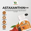 Buy Best astaxanthin supple... - vaddmaan