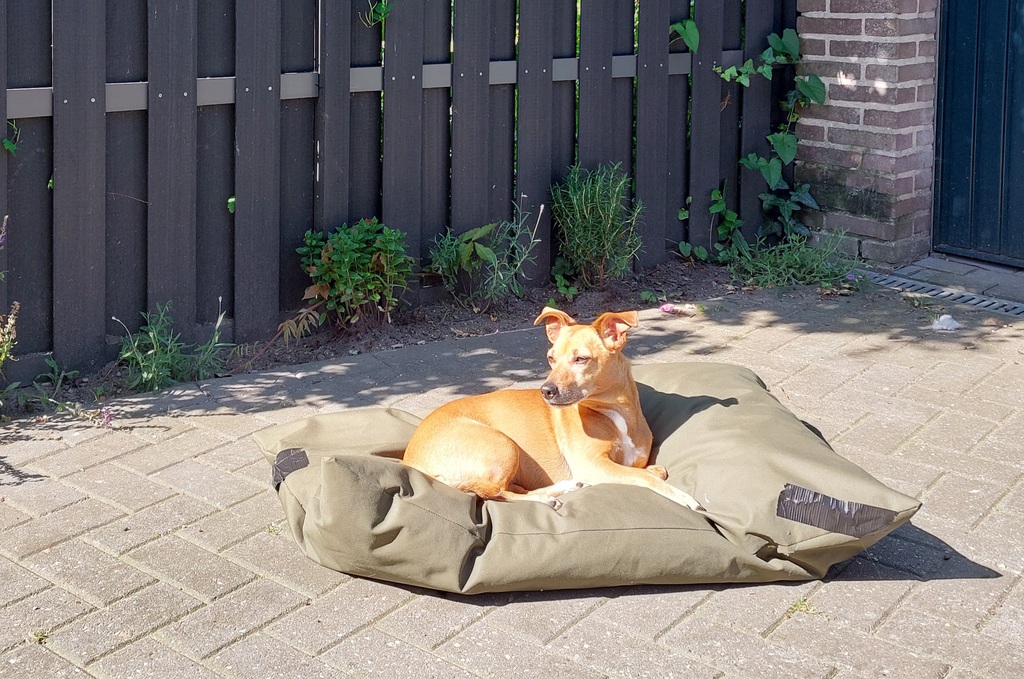 20220615 100338 - Toosje