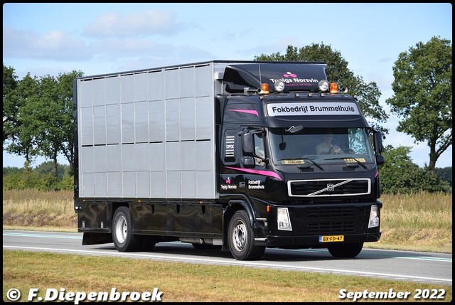 BX-FD-47 Volvo FM Fokbedrijf Brummelhuis-BorderMak Rijdende auto's 2022