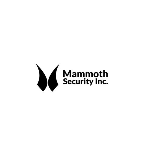 Mammoth Security Inc. New Haven Mammoth Security Inc. New Haven