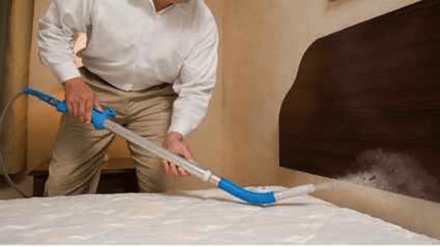 bed-bug-exterminator-tampa Florida Bedbug Solutions - Tampa