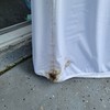 bed-bug-removal-tampa - Florida Bedbug Solutions - ...