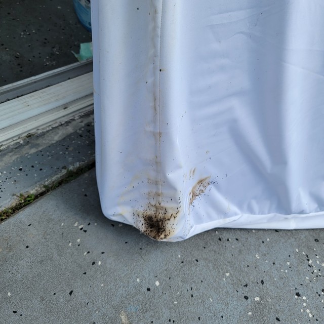 bed-bug-removal-tampa Florida Bedbug Solutions - Tampa