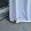 bed-bug-removal-tampa - Florida Bedbug Solutions - Tampa