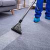 24 hour Steam Cleaning Ceda... - Snyders carpet Care