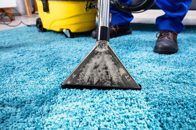 Carpet Cleaning Cedar Hill Snyders carpet Care