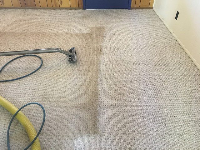 Hard Wood  Cleaning Snyders carpet Care