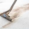 Steam Cleaning Cedar Hill - Snyders carpet Care