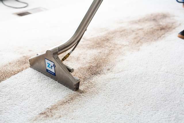 Steam Cleaning Cedar Hill Snyders carpet Care