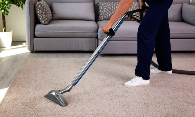 Upholstery cleaning Cedar Hill Snyders carpet Care