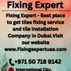 Fixing Expert