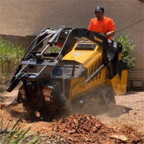 DIListing-146278-Photo2 Arizona Tree Trimming & Removal - Scottsdale AZ