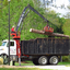 Tree Removal For Securely R... - Picture Box