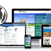 convert website to wordpress