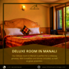 Room in Manali - Picture Box