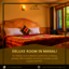 Room in Manali - Picture Box