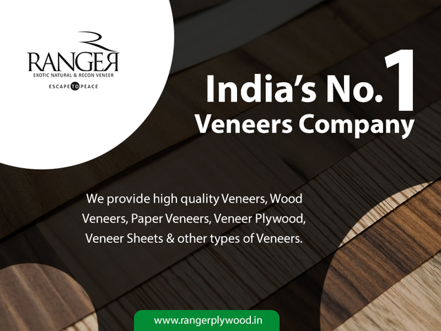 rabger-banner-16-7-2022C Ranger Plywood