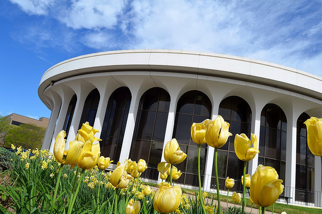 LoGo Delta Junk Removal Pros