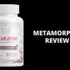 MetamorphxMetamorphxdfg - Metamorphx