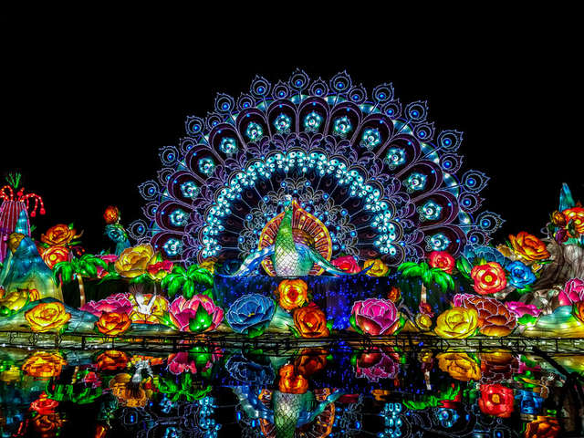 dubai garden glow tickets https://www.thrillophilia.com/tours/dubai-garden-glow-tickets