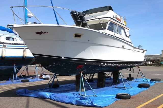 Boat Detail Miami (1) Business