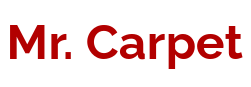 logo Mr Carpet of Volusia County Inc.