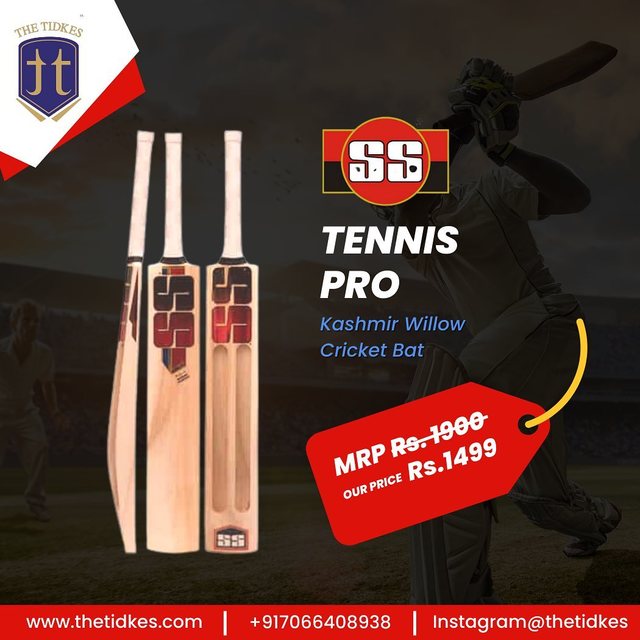 Buy SS kashmir willow cricket bat thetidkes
