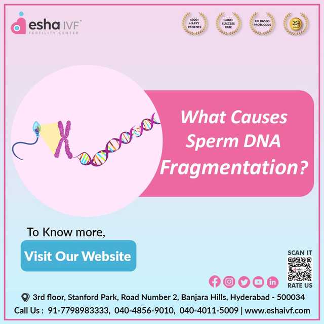 DNA Fragmentation Index of Sperm DNA