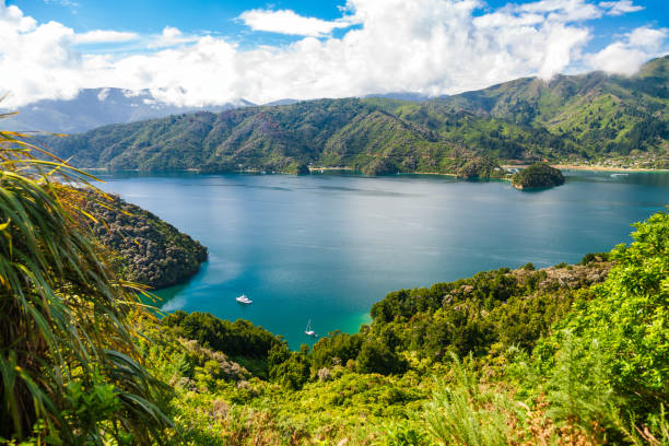 Property development Marlborough Sounds The Rewarewa Property
