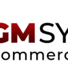 logo (1) - GM Systems Inc