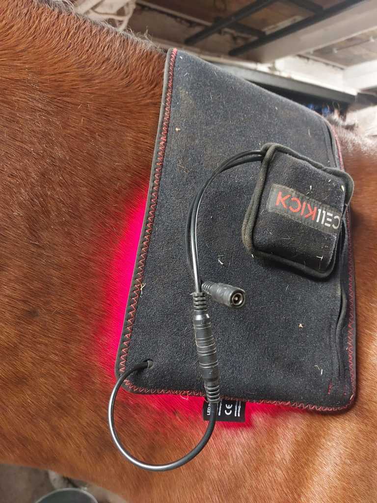 IMG-20220919-WA0001 - van alles