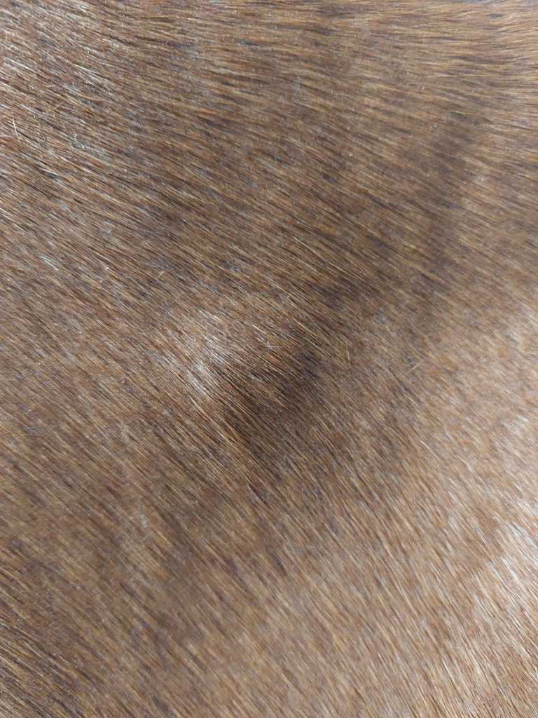 IMG-20220919-WA0002 - van alles