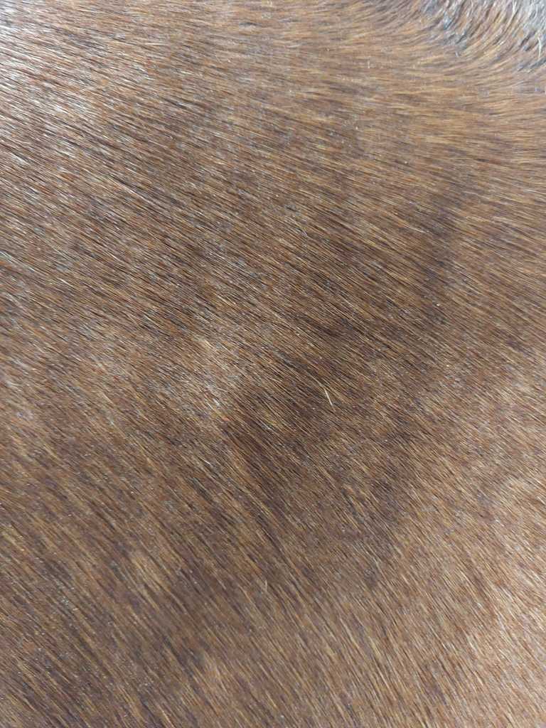 IMG-20220925-WA0001 - van alles