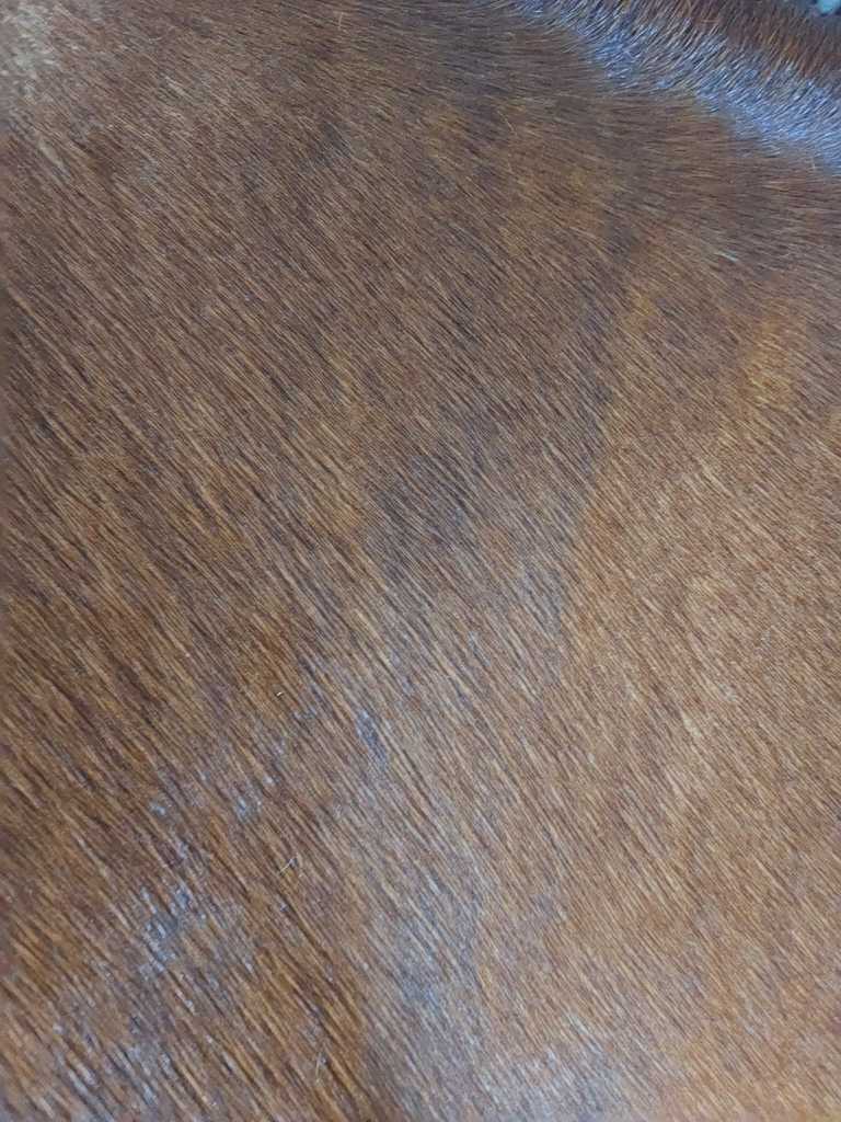 IMG-20220925-WA0002 - van alles