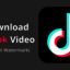 download-tiktok-video-witho... - Picture Box