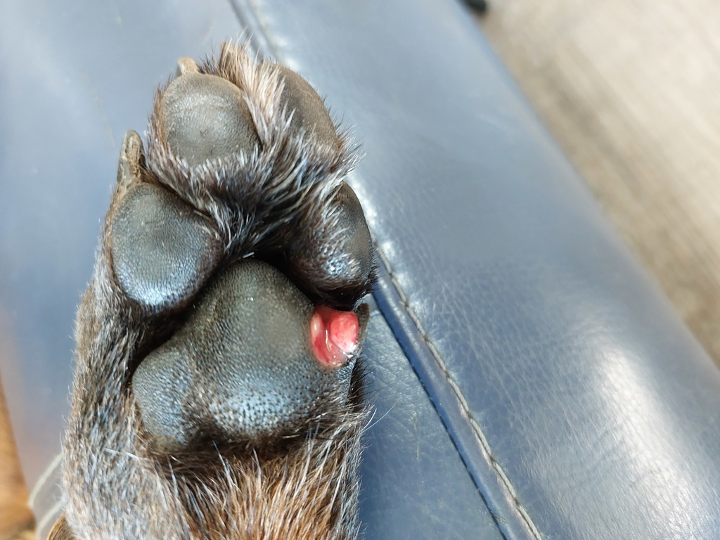 20220327 161857 - van alles