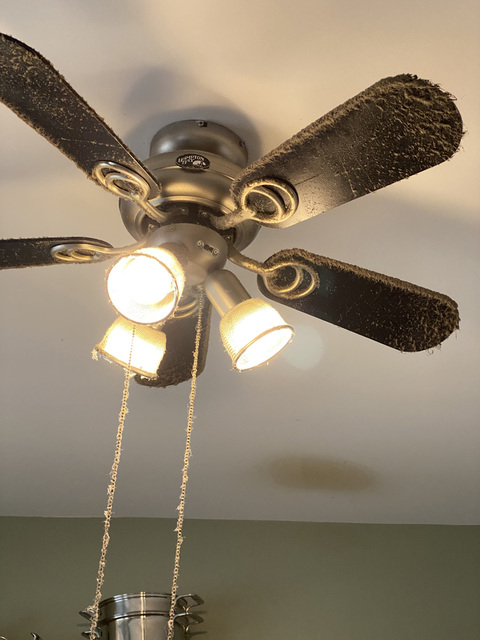 Professional Cleaners Picture Box