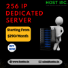 256 ips dedicated server - Picture Box