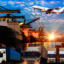 Shipping Companies in Afgha... - Do you want Excellent Shipping & Logistics Companies in Afghanistan?  - Logistan