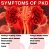 Polycystic kidney Disease
