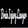 logo-401 - Brain Injury Lawyer