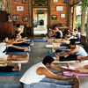 Online-yoga-training-Jakarta - The Caring Nature System