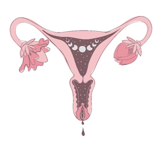 Menopause and Andropause Symptoms Picture Box