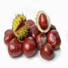 Chestnuts - Kinnaur Organic Drinks & Fo...