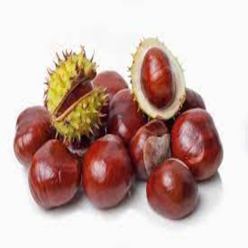 Chestnuts Kinnaur Organic Drinks & Foods Pvt Ltd