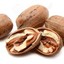 pecan nuts - Kinnaur Organic Drinks & Foods Pvt Ltd