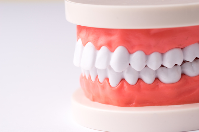 perfect-set-denture Affordable Denture Options