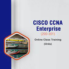 Cisco Exam Dumps Picture Box